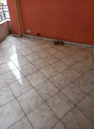 Καθαρισμος σε εγκαταλελειμμένη οικια (μετα)